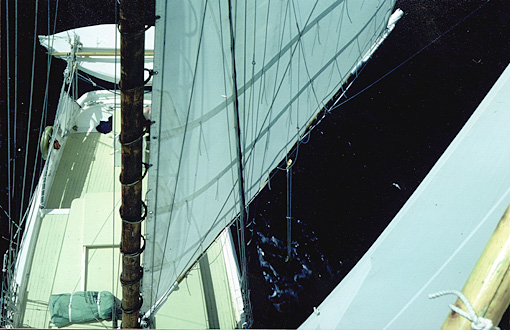 From the fore mast
