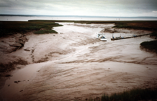 Fundy Tide