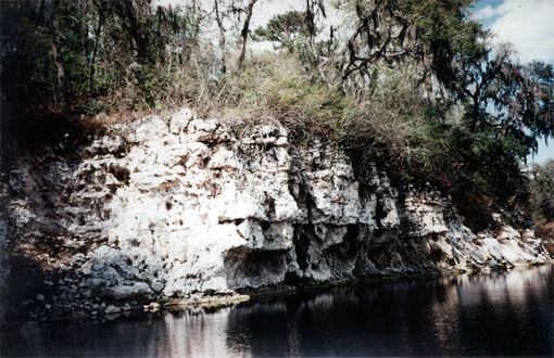 Limestone canyon