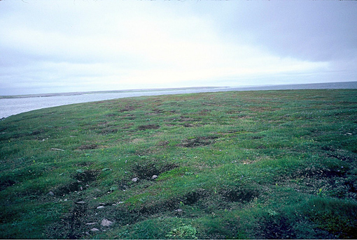 flat treeless tundra